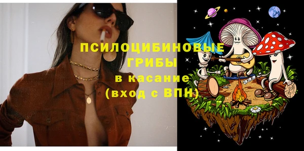 apvp Алзамай