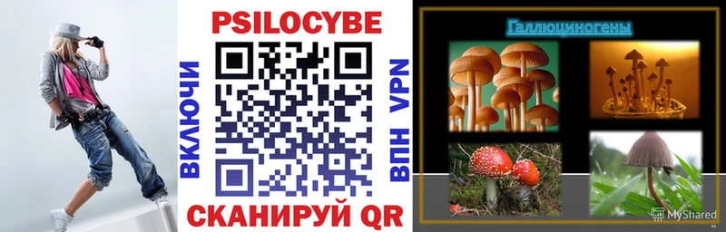 mega   купить   Находка  Галлюциногенные грибы Psilocybine cubensis 